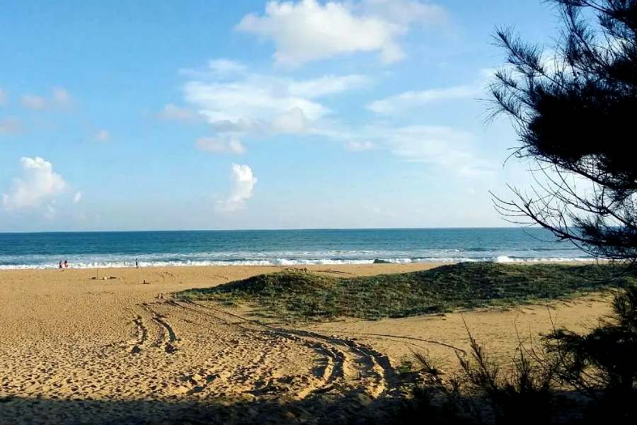 নুয়ানাই।