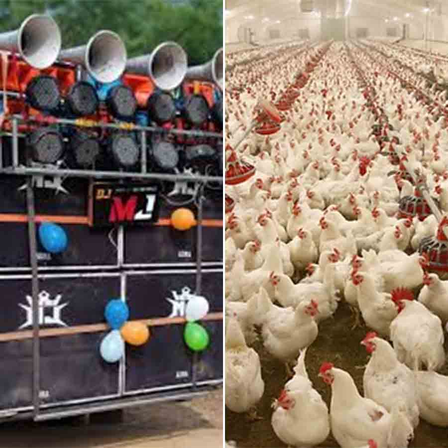 140 chickens allegedly died by high level sound of DJ sound box of wedding procession in UP, case registered dgtl