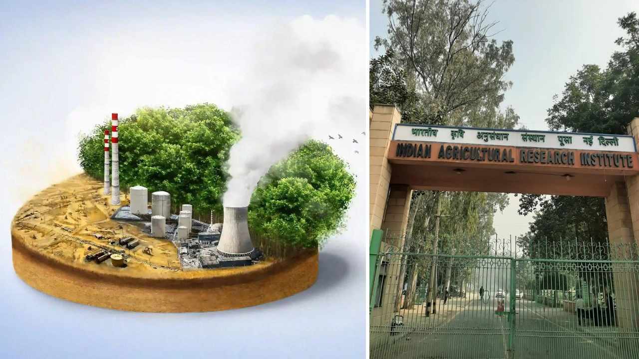 ইন্ডিয়ান এগ্রিকালচারাল রিসার্চ ইনস্টিটিউট।