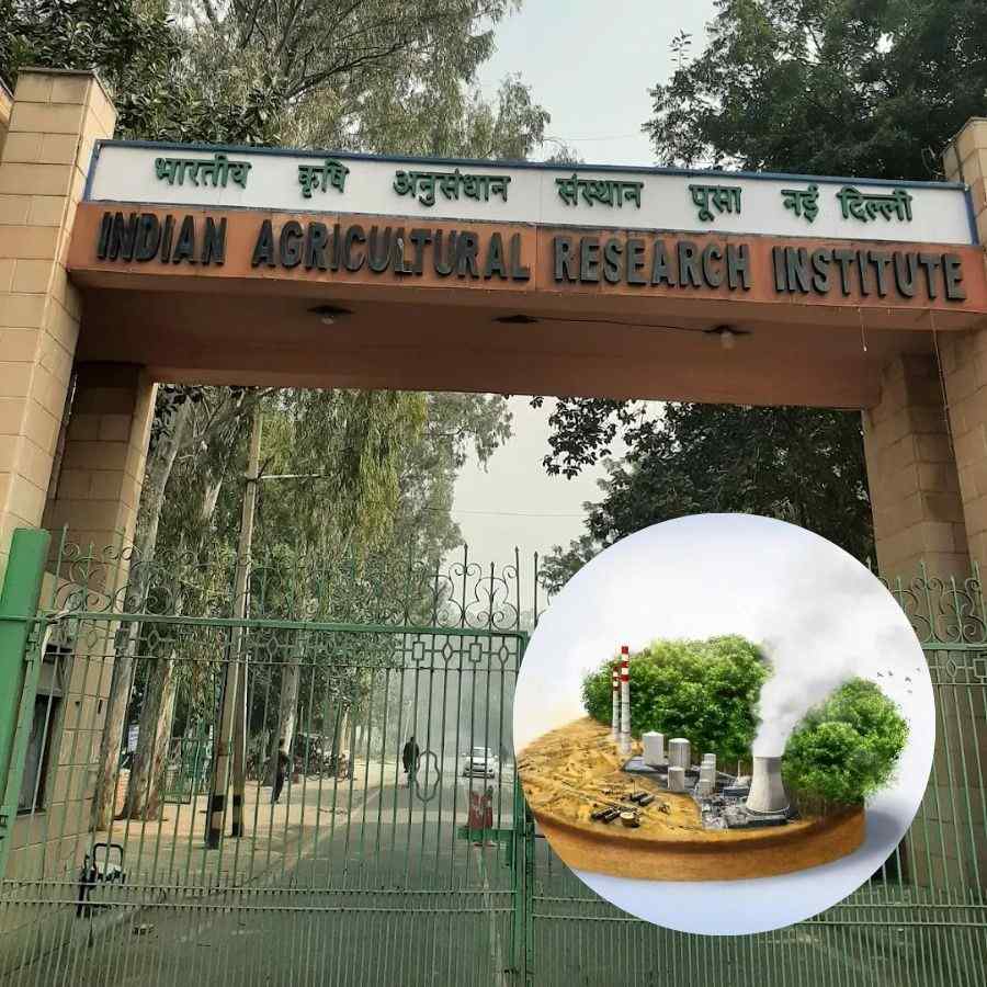 ইন্ডিয়ান এগ্রিকালচারাল রিসার্চ ইনস্টিটিউট।