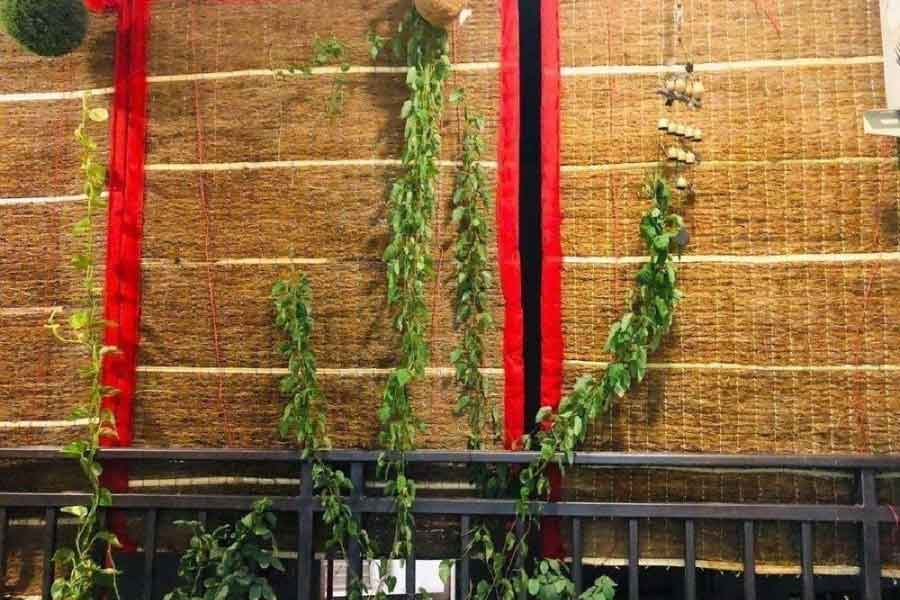 খসখস হোক গরমে ঘর ঠান্ডা রাখার দোসর।