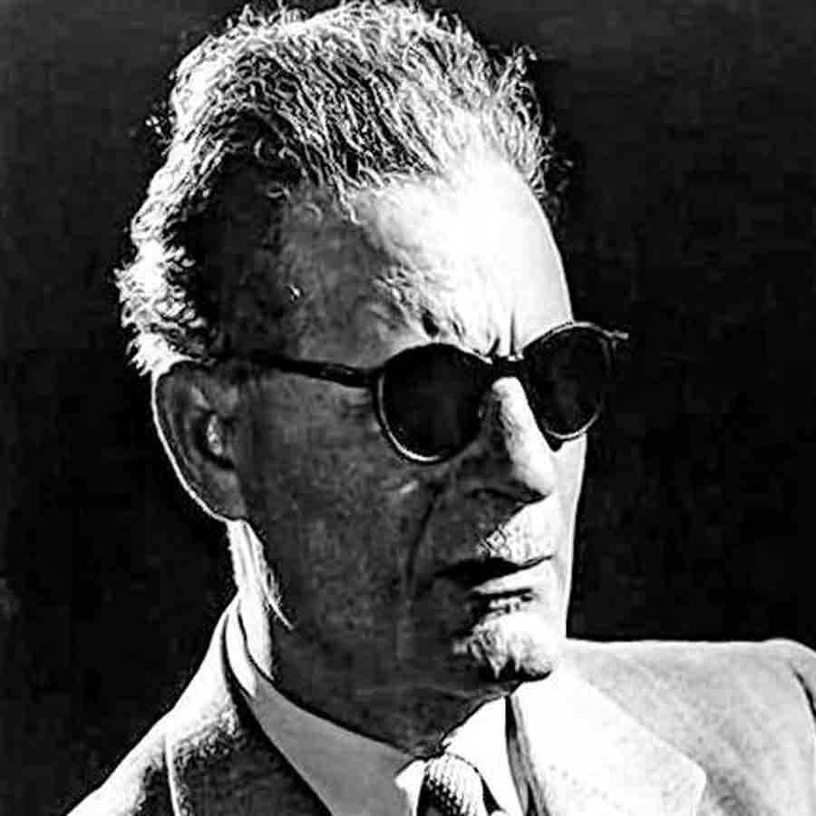 তাহা হুসেন।