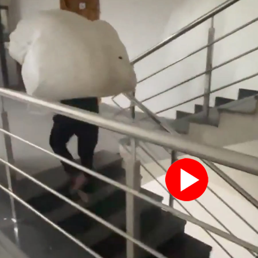 Video of Delivery Man Climbs Stairs With Huge Parcel After Society Denies Lift Access dgtl