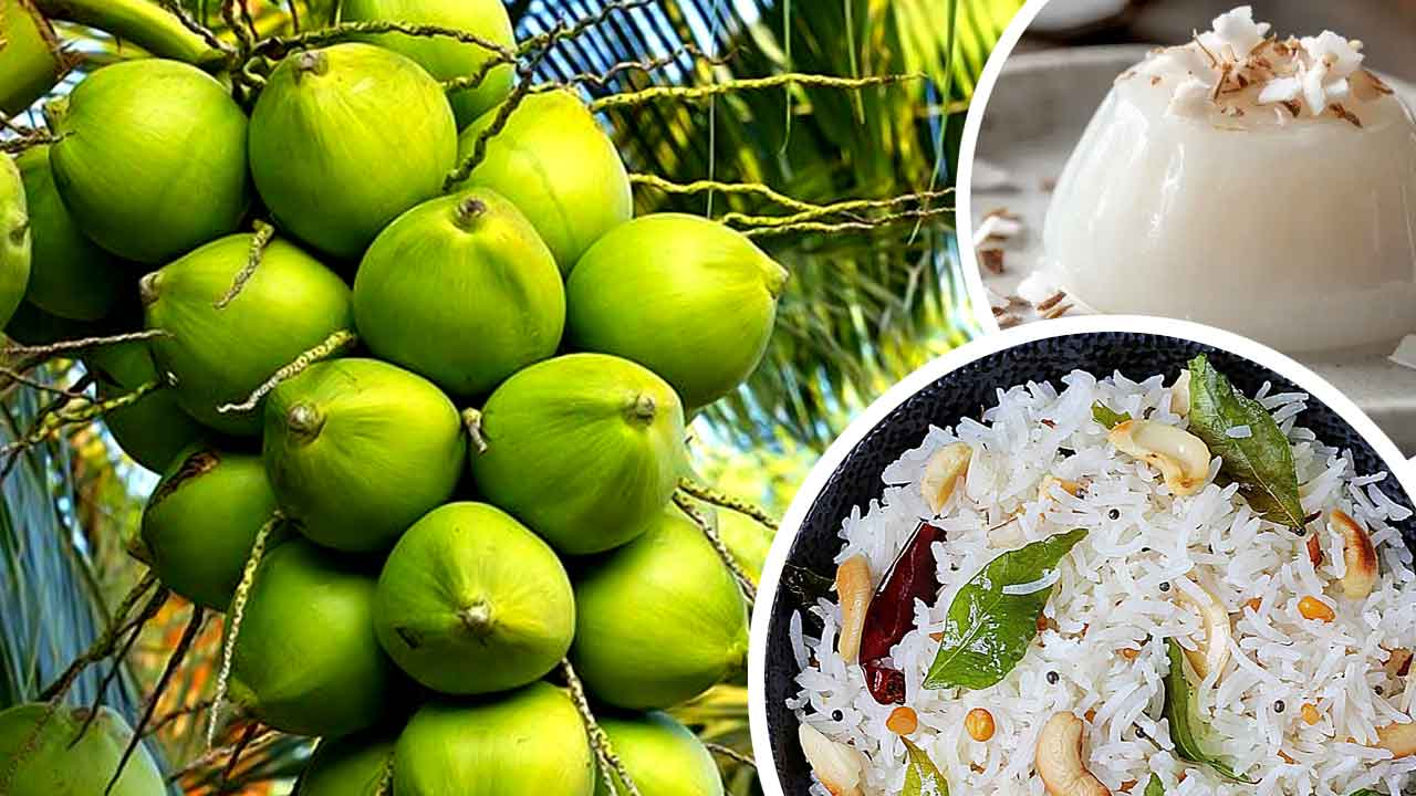 নারকেলের গুণেই ভাল থাকবে স্বাস্থ্য, ফল দিয়ে কী ভাবে রাঁধবেন নানা পদ?