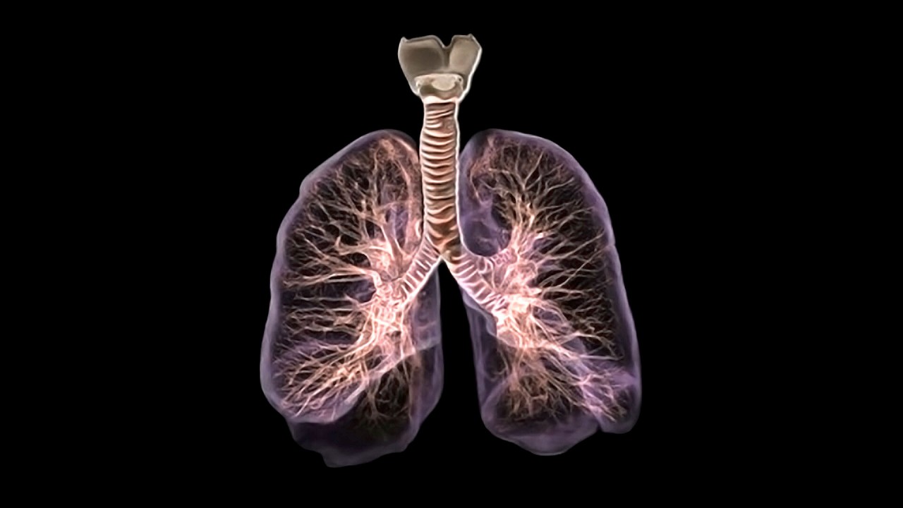 ফুসফুস ক্ষতির হাত থেকে বাঁচাবেন কী ভাবে?