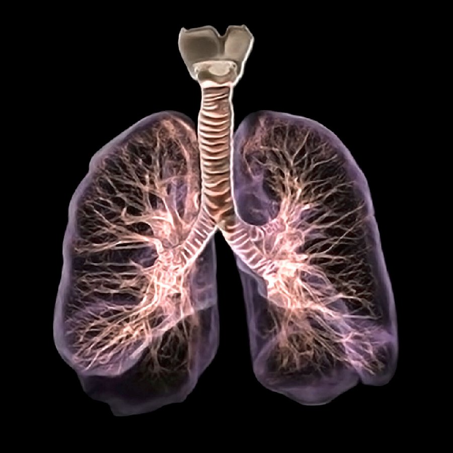 ফুসফুস ক্ষতির হাত থেকে বাঁচাবেন কী ভাবে?