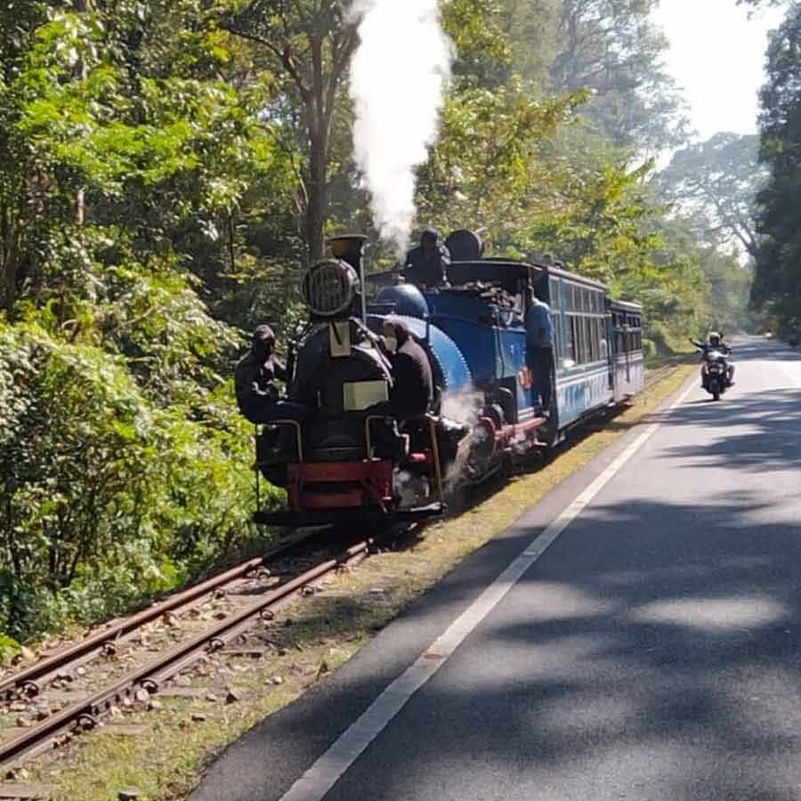 টয় ট্রেন।