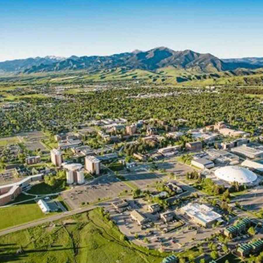 US President Donald Trump allegedly fuelling separatists of oil producing Alberta, a big concern for Canada