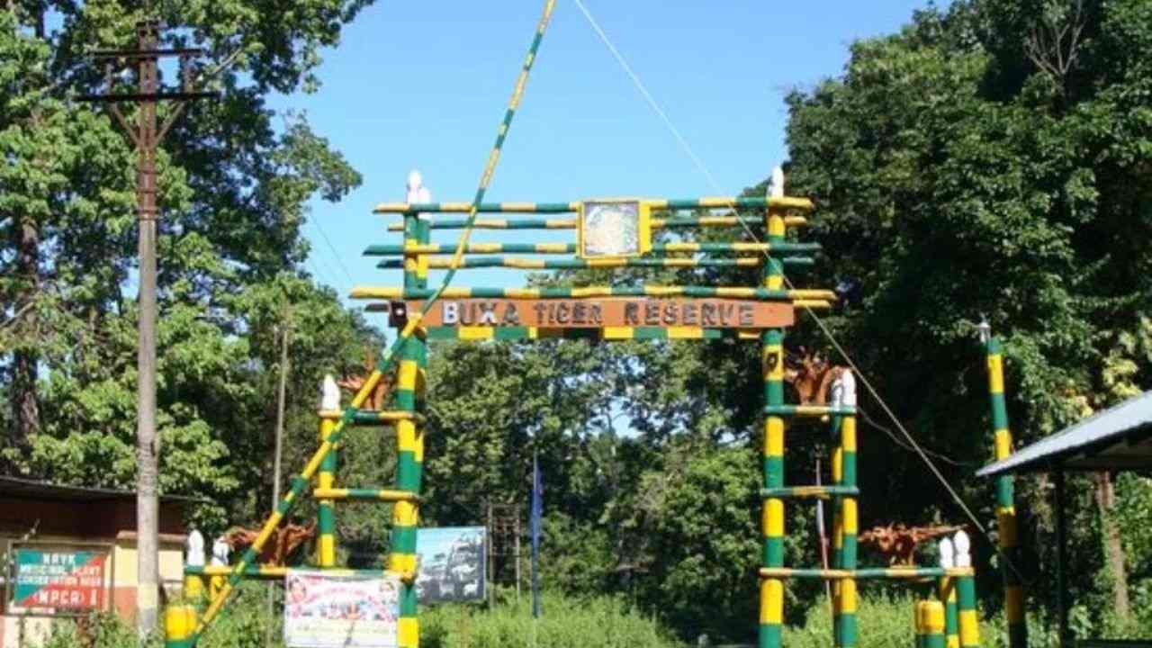 বক্সা অভয়ারণ্য দিয়ে আবার ছুটবে ট্রেন?