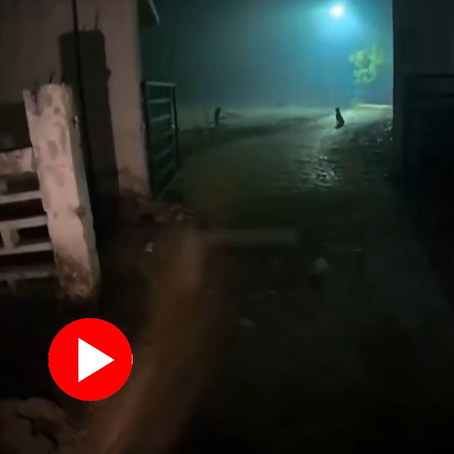 Video shows woman asked delivery boy to deliver food inside cemetery, he leaves without delivering