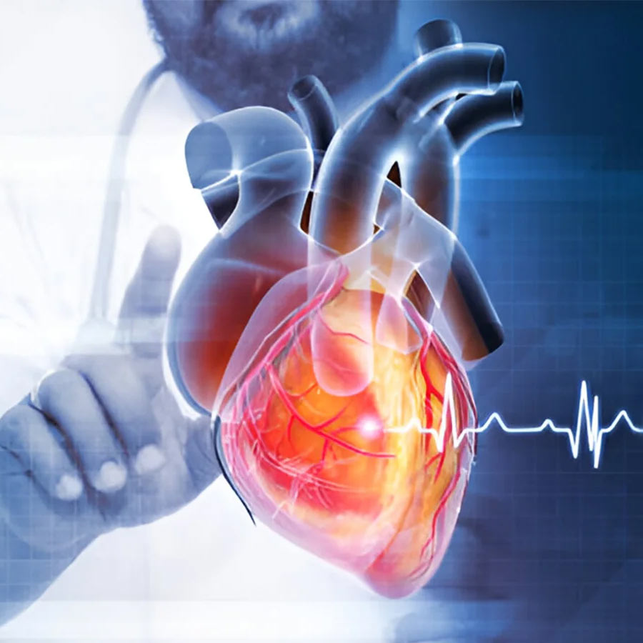 A quick 40–60 second home heart test is necessary to check your heart health condition