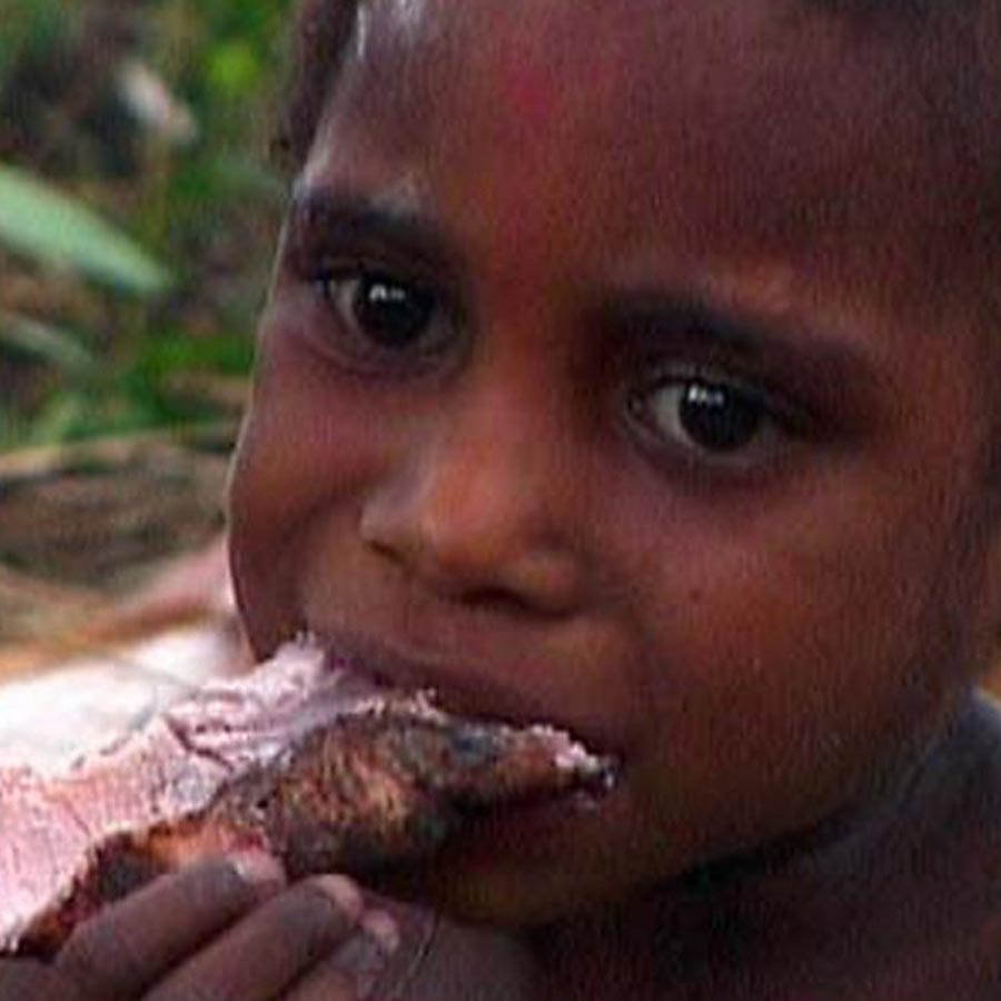 Cannibalism In Papua New Guinea