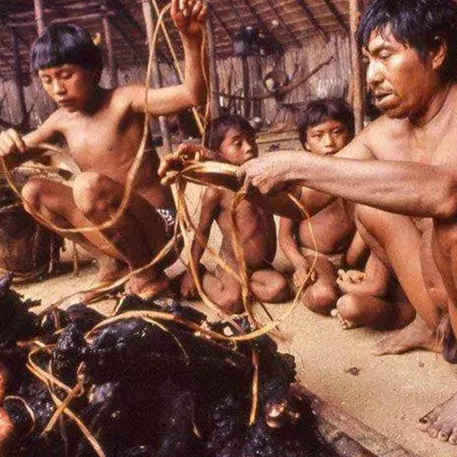 Cannibalism In Papua New Guinea
