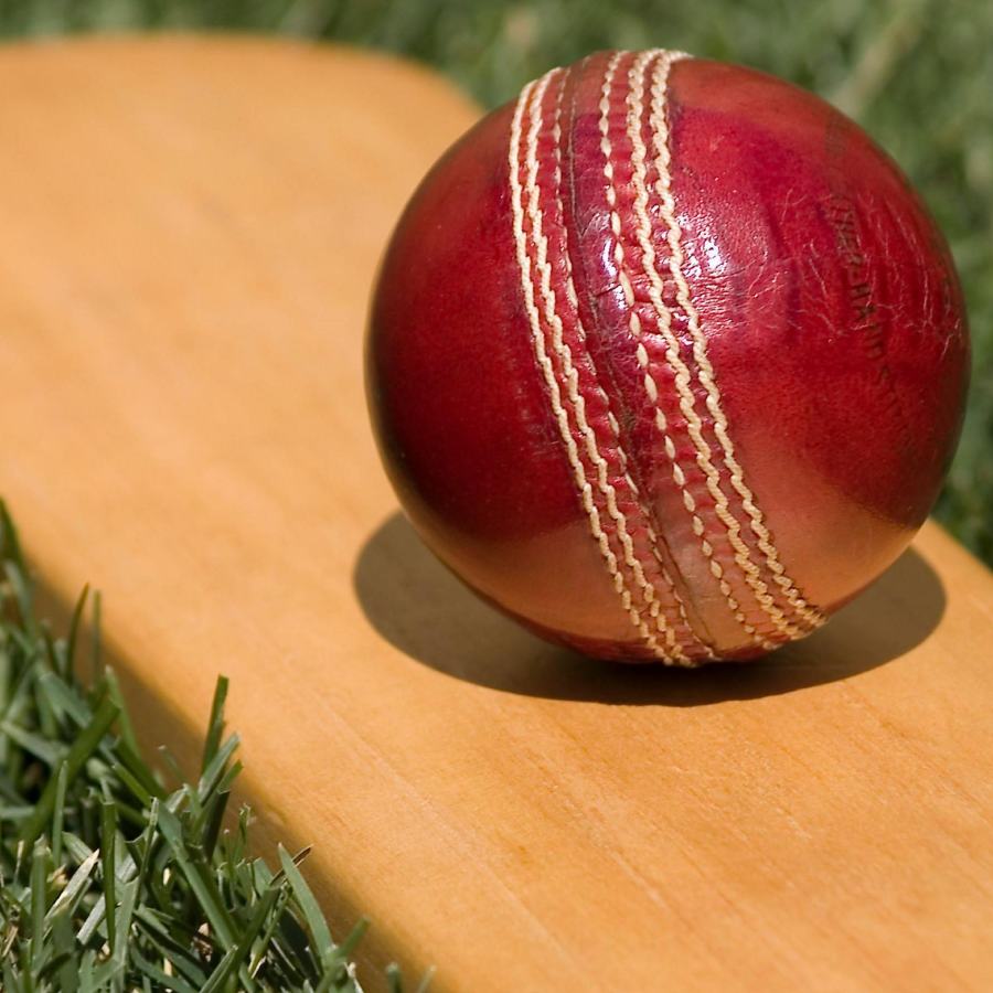 picture of cricket