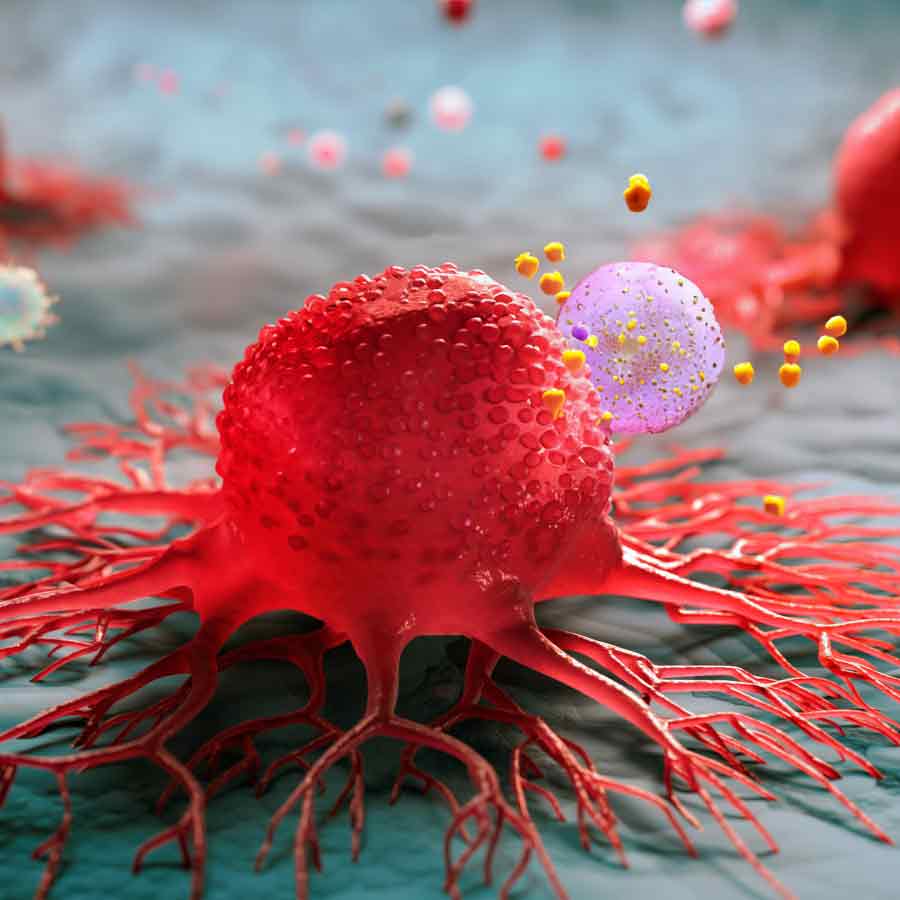 Which cancers are more preventable in India according to WHO