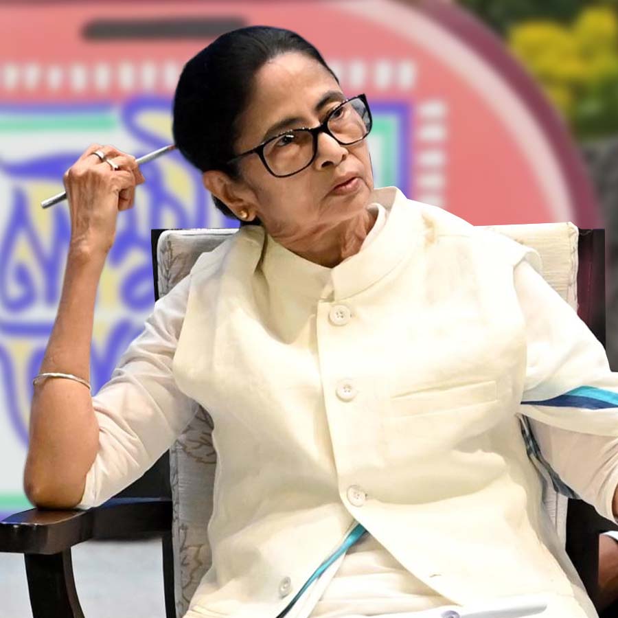CM Mamta Banerjee government will tender the interim budget of West Bengal