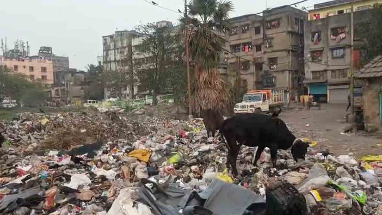 বেহাল অবস্থা।