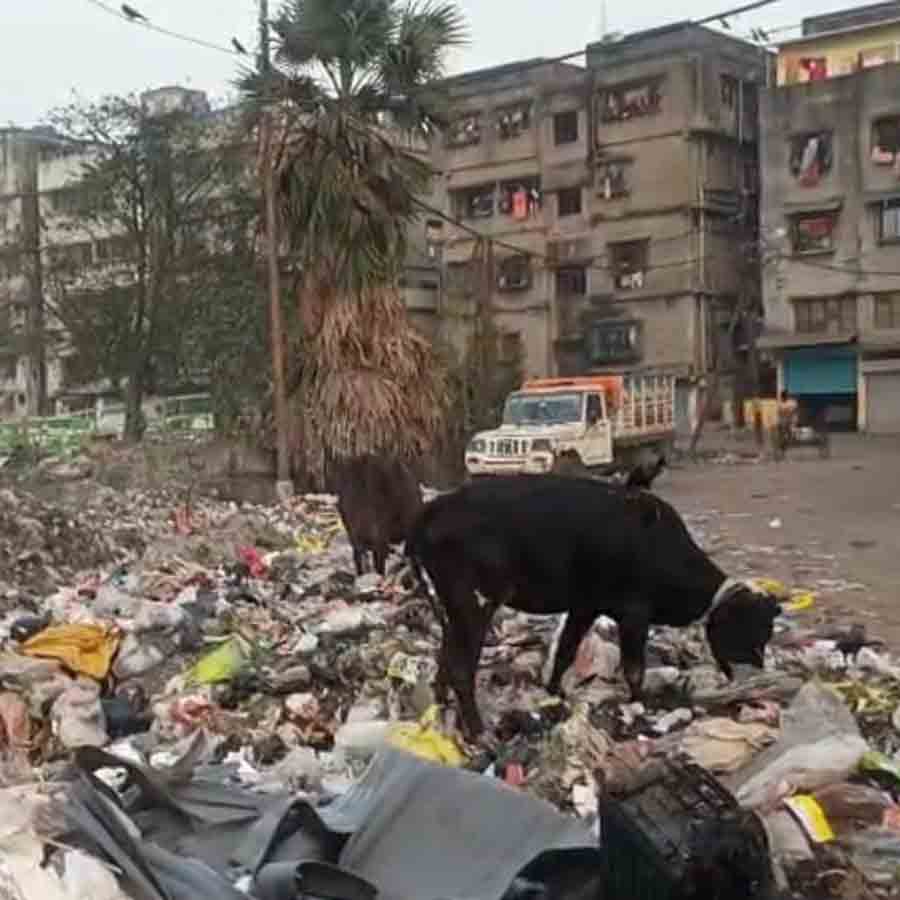 বেহাল অবস্থা।