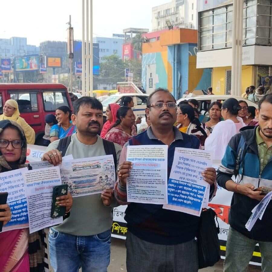 নিজস্ব চিত্র।