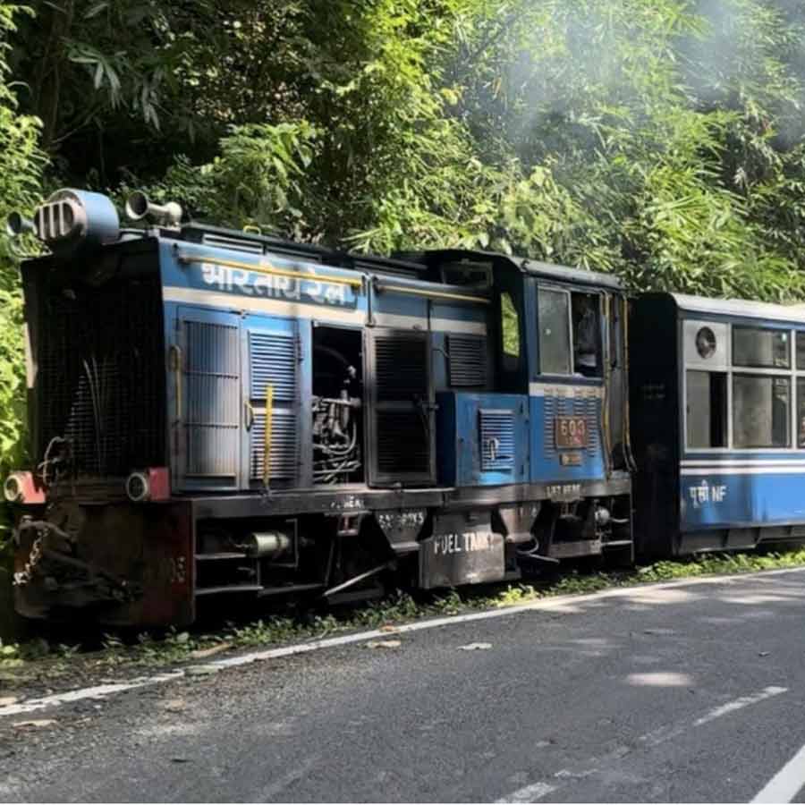 Himalayan tor train breaks record in earning dgtld
