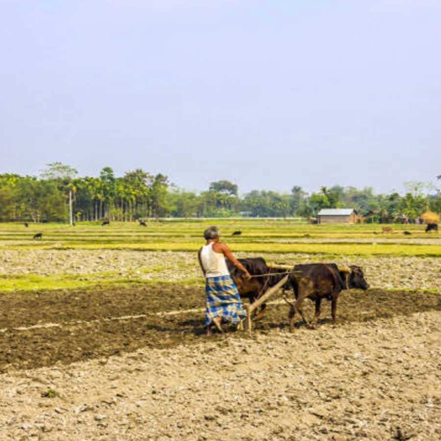 All need to know about Farmers who gave their lands for Jewar airport in Noida