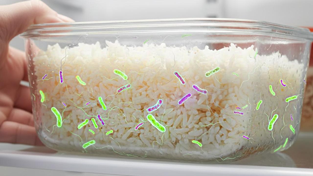 ভাতে জন্মানো ব্যাক্টেরিয়াই কি পেটের রোগের কারণ?