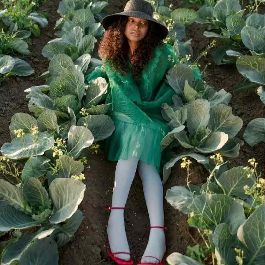 Underrated vegetable Cabbage Became the Most Unexpected Beauty Superfood in 2026 dgtl