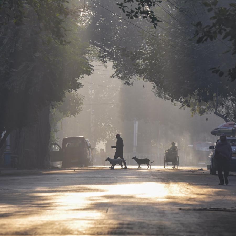 Cold weather prevails in parts of South Bengal as temperature drops significantly dgtl