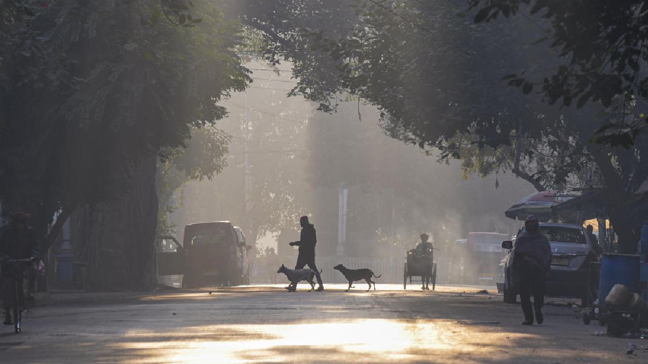 শীতের সকালে কলকাতার রাস্তায় হালকা রোদের ছোঁয়া।