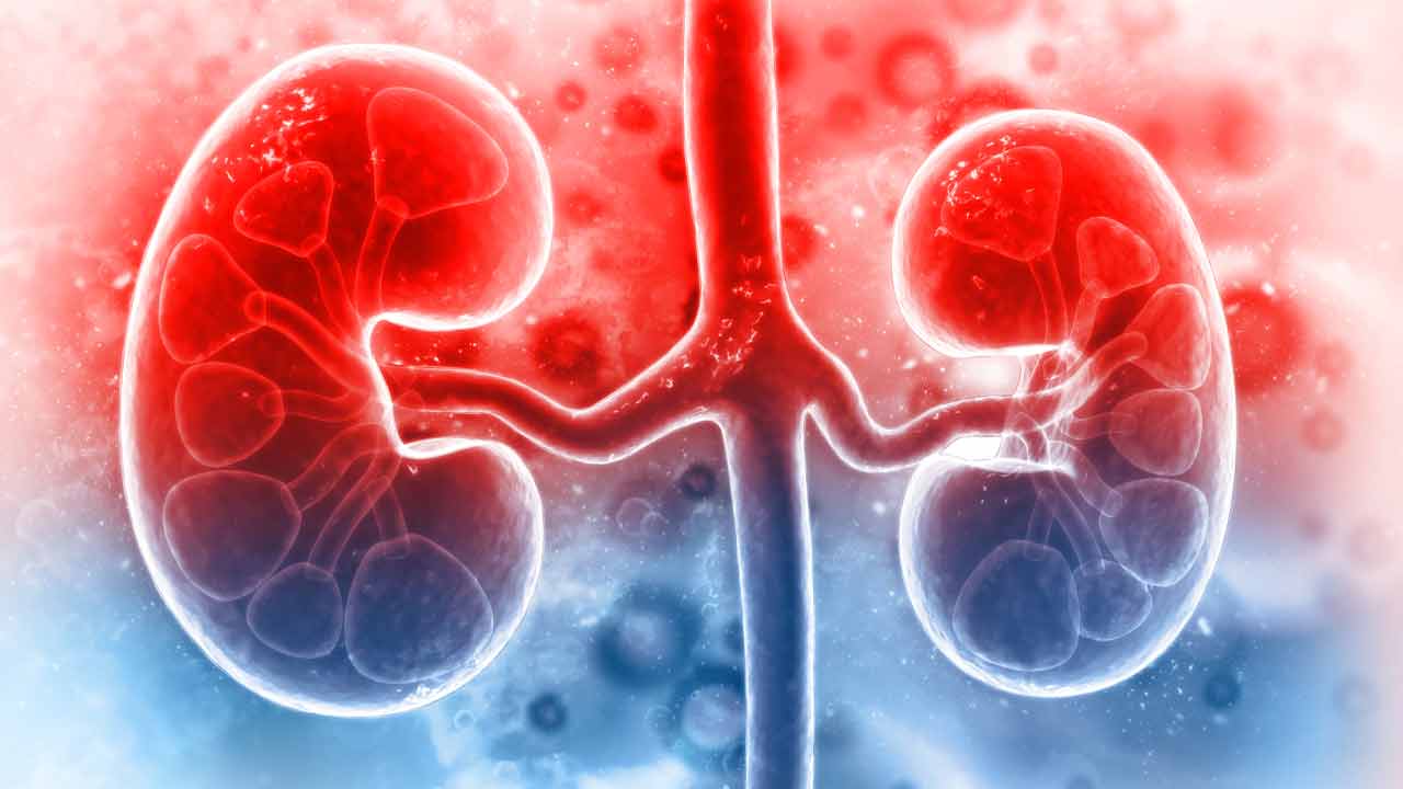 What is Digital twin model for managing Chronic Kidney Disease