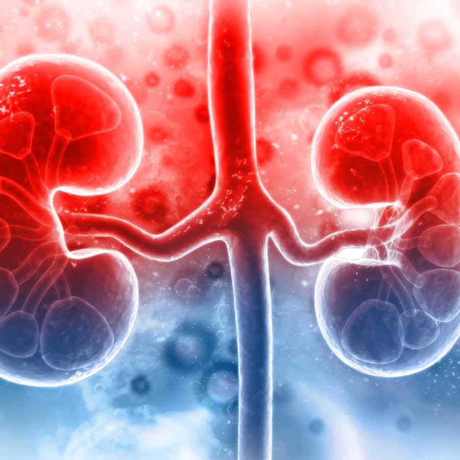 What is Digital twin model for managing Chronic Kidney Disease