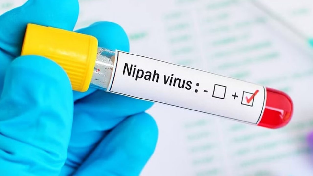 WHO says one person dead from Nipah virus in Bangladesh