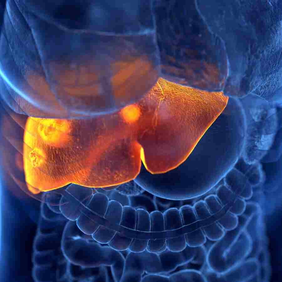 How dangerous is Liver Cholangitis, what are the symptoms and treatment