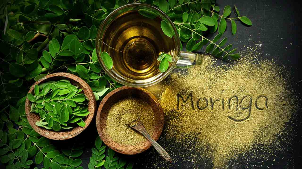 সজনে দিয়ে রকমারি পদ।