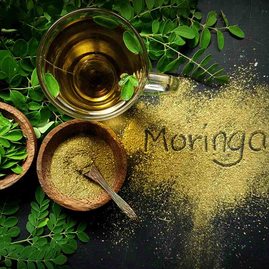 সজনে দিয়ে রকমারি পদ।