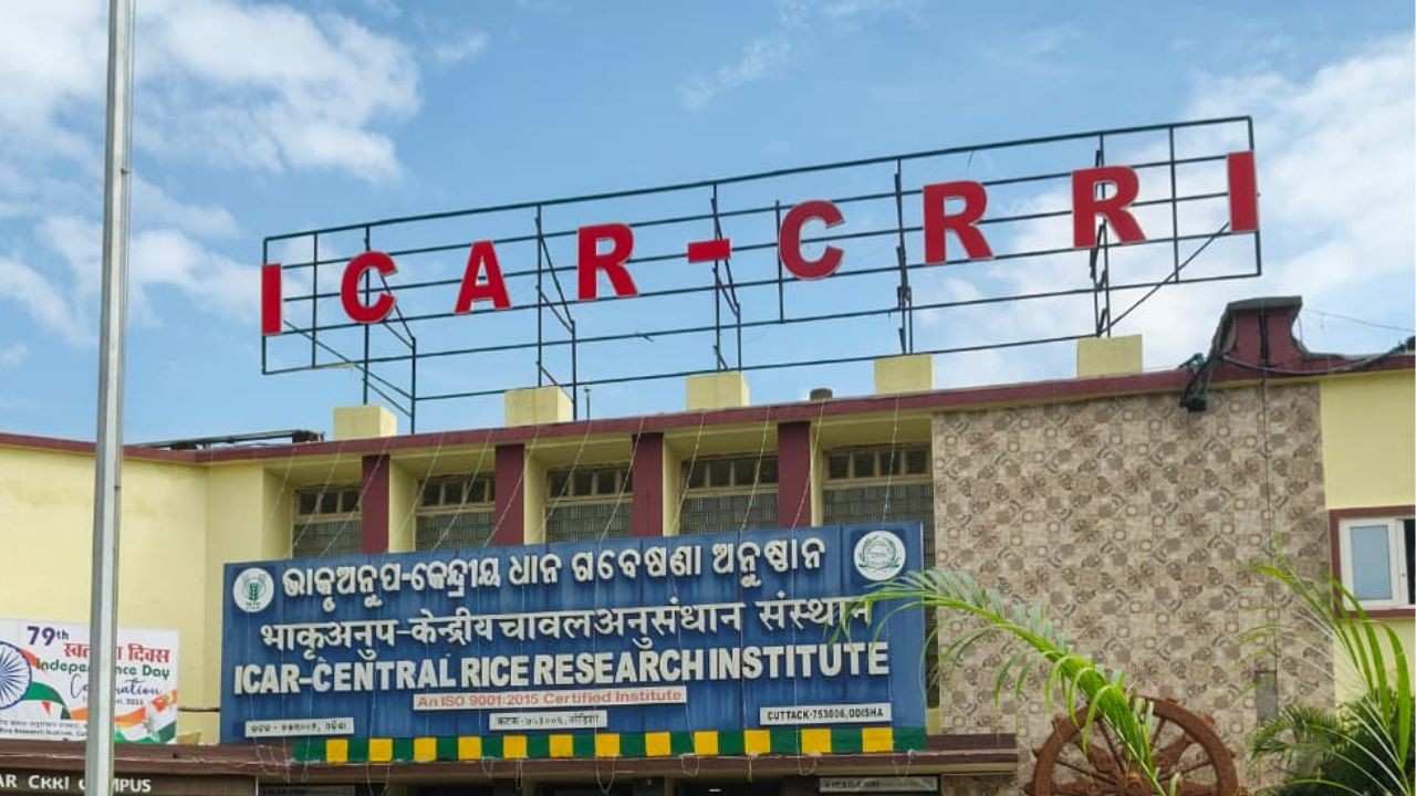 সেন্ট্রাল রাইস রিসার্চ ইনস্টিটিউট।