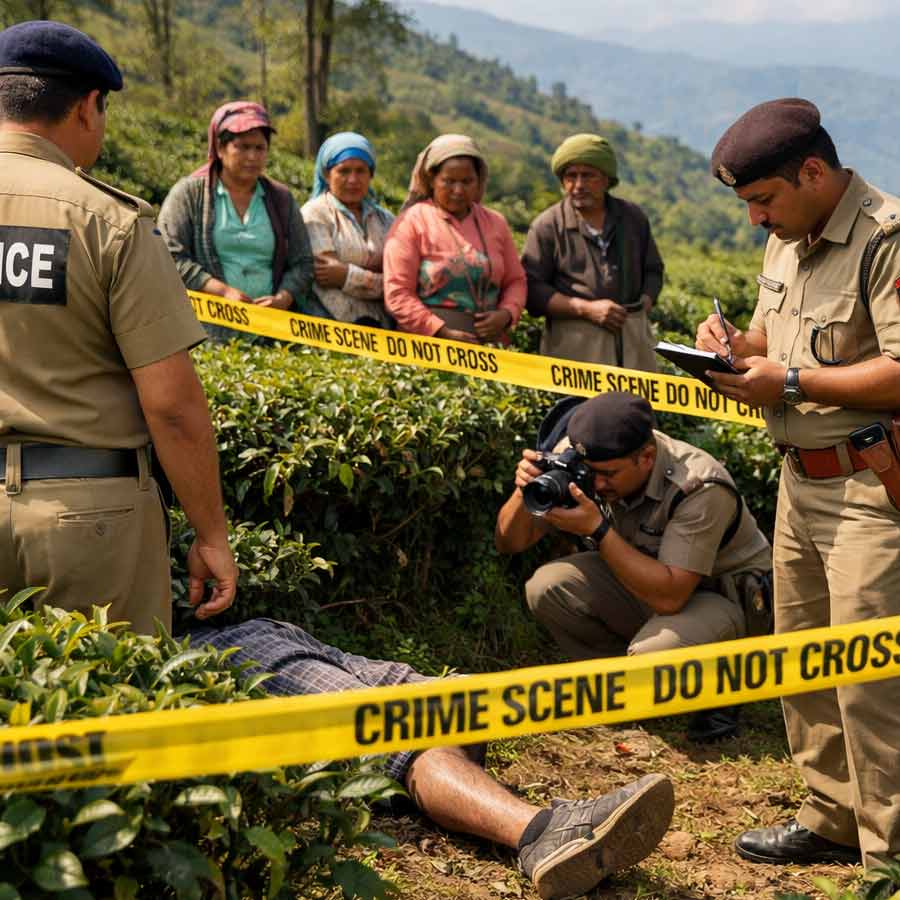 Murder At Tea Garden