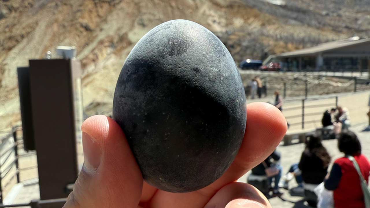 কালো ডিমের নেপথ্যে লুকিয়ে কোন রহস্য?