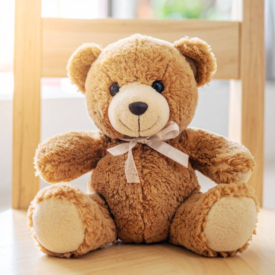 From World war to digital revolution, a soft toy that endured all and still signing is teddy bear dgtl