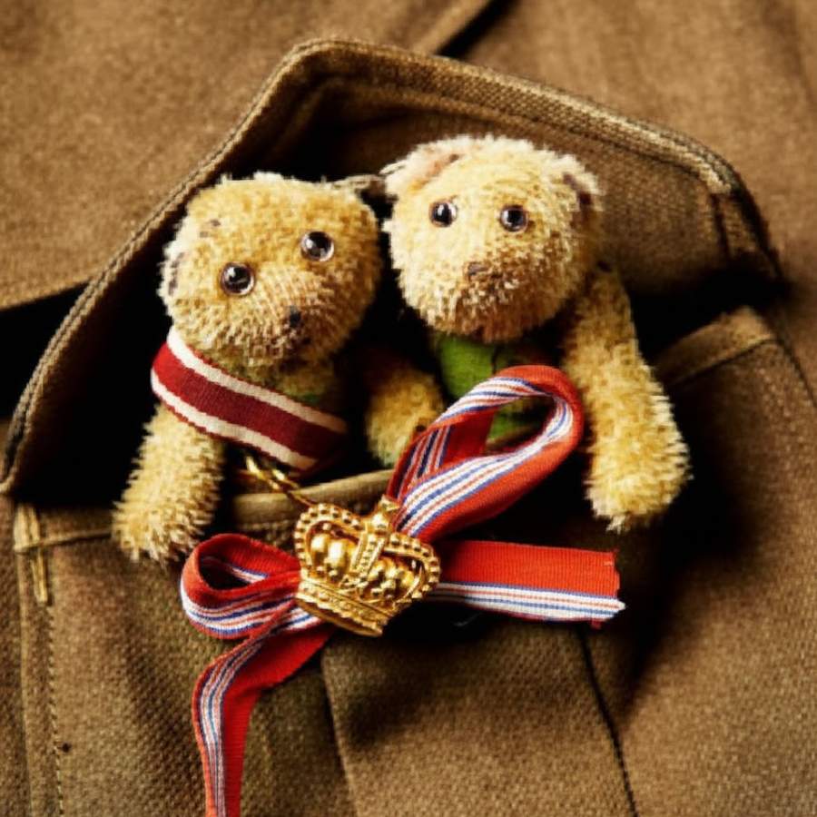 ঘরের কথা মনে করার জন্য বিশ্বযুদ্ধে যাওয়া সেনাদের সঙ্গী হত টেডি। 