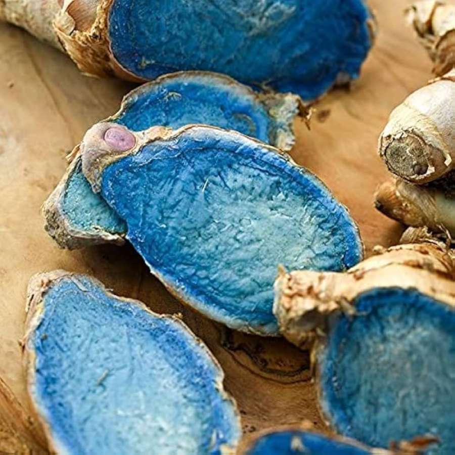 Does Black Turmeric act as Anti Cancer dgtl