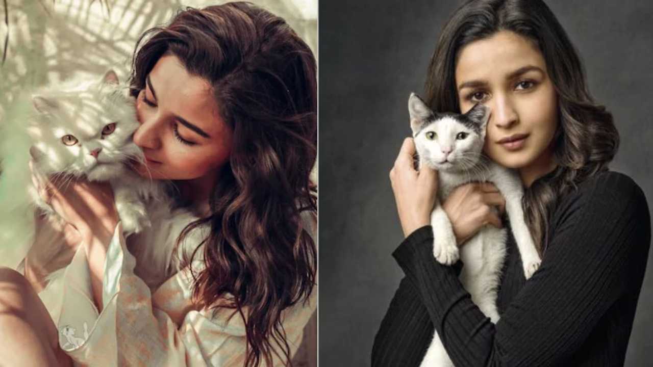 পোষ্যদের সঙ্গে অভিনেত্রী আলিয়া ভট্ট।