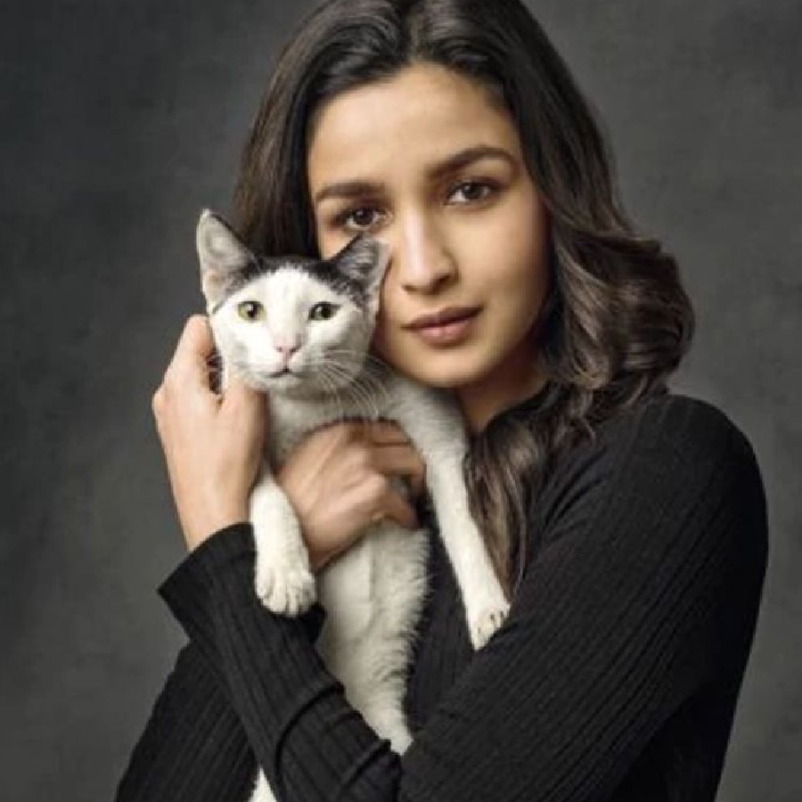 পোষ্যদের সঙ্গে অভিনেত্রী আলিয়া ভট্ট।