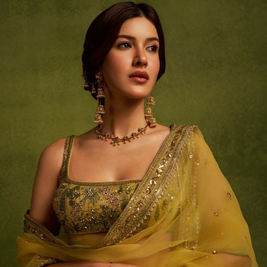 কোন পরিস্থিতির মুখে পড়েন শনায়া কপূর?