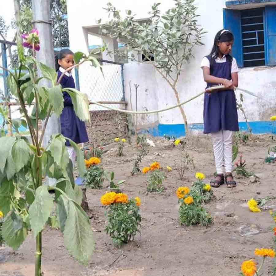 তৈরি হয়ে উঠছে ইসলামপুরের স্টেট ফার্ম কলোনি জুনিয়র বেসিক প্রাইমারি স্কুলের বাগান।