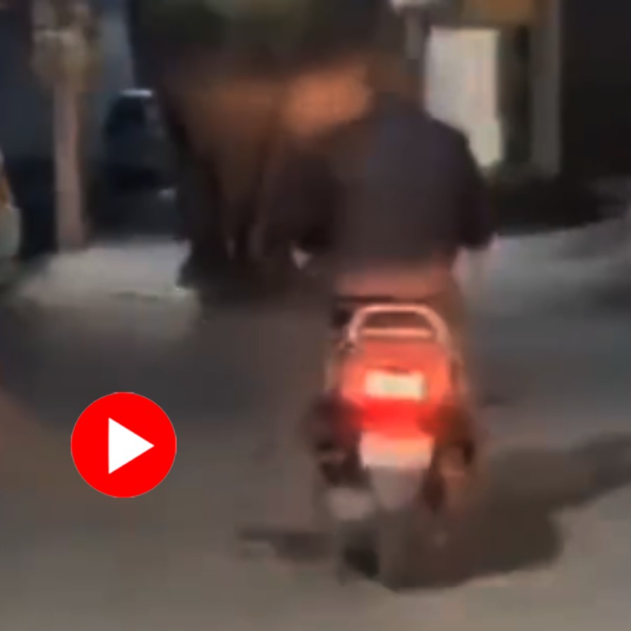 Video of man allegedly chasing wild elephants in Haridwar goes viral dgtl