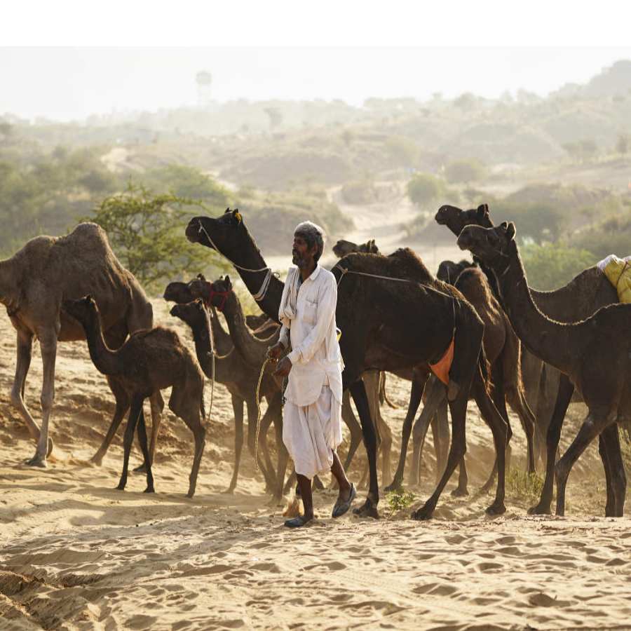 All need to know about Pappu Devi, Pushkar’s woman whose eye has resemblance with tiger