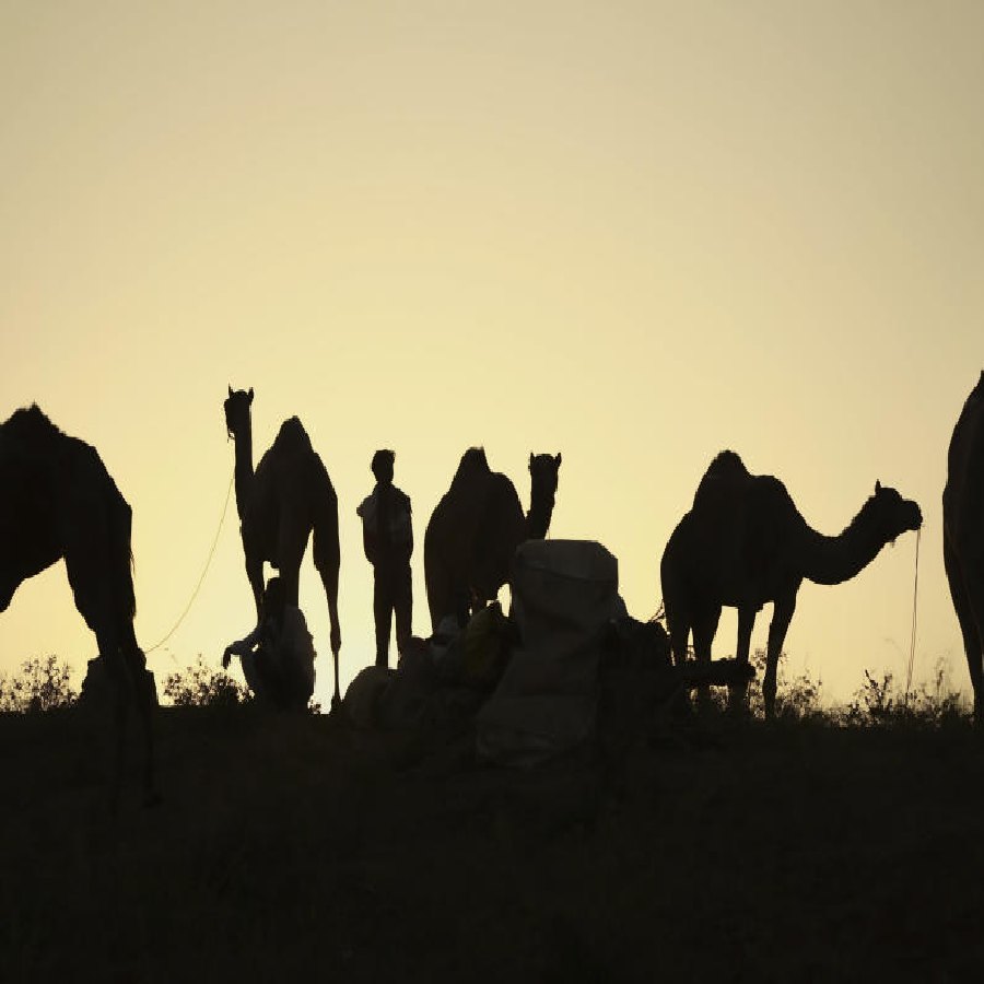 All need to know about Pappu Devi, Pushkar’s woman whose eye has resemblance with tiger