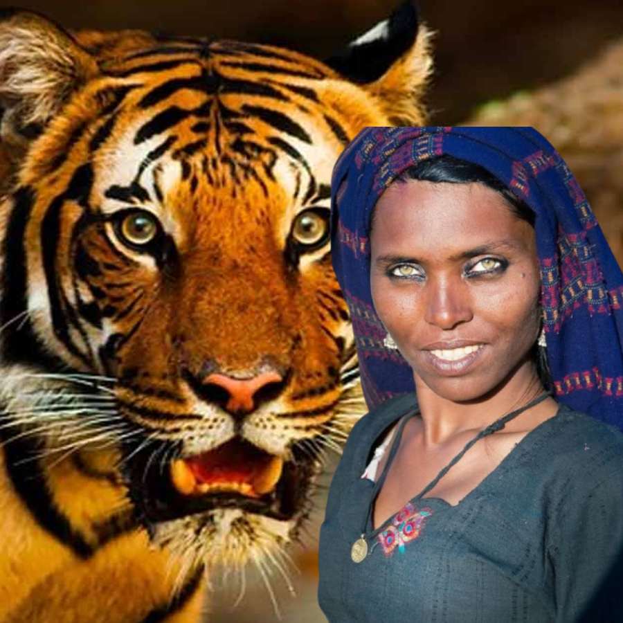 All need to know about Pappu Devi, Pushkar’s woman whose eye has resemblance with tiger
