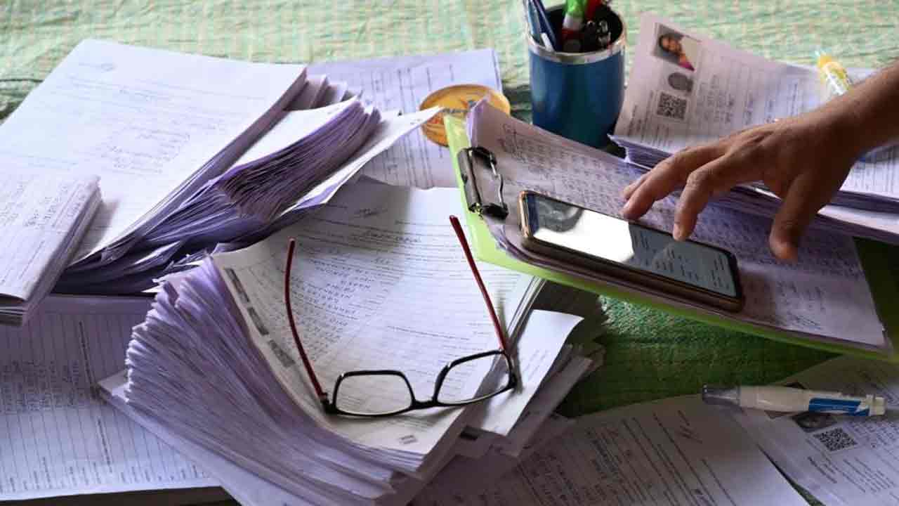 এনুমারেশন ফর্মের তথ্যযাচাই।